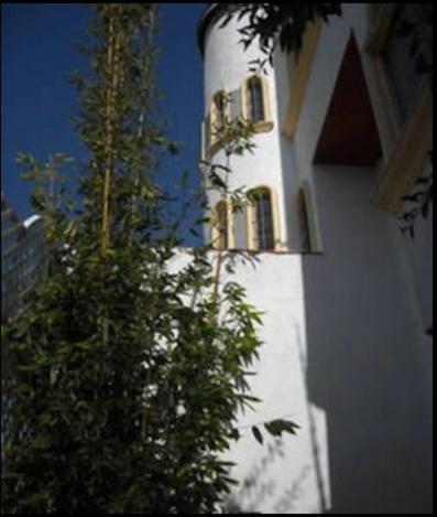 Welcome To Casa Viva Mexico 3-Bedrooms 2-Bathroms 6-Guests Close To Shoping Center & Beach Tijuana Exteriér fotografie